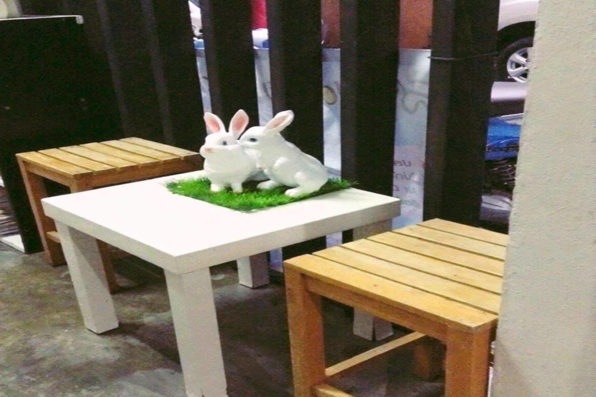 Cozy Rabbit Hotel Thungszong Kültér fotó