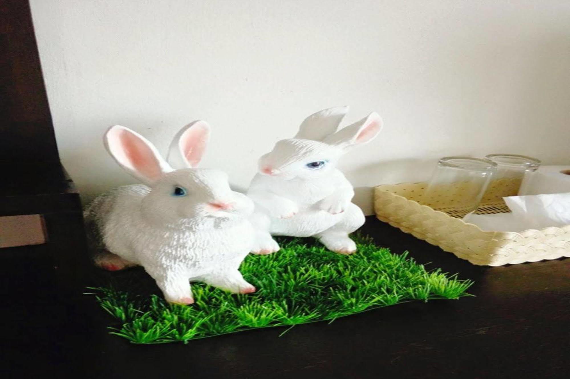 Cozy Rabbit Hotel Thungszong Kültér fotó